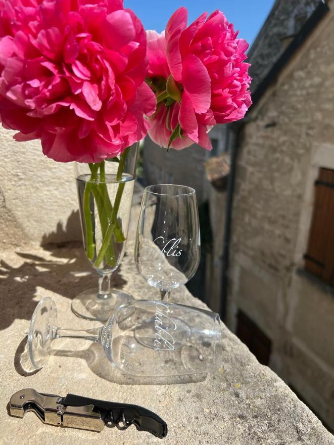 La Maison D'Alienor - Gites De Caractere A Chablis - 89 외부 사진