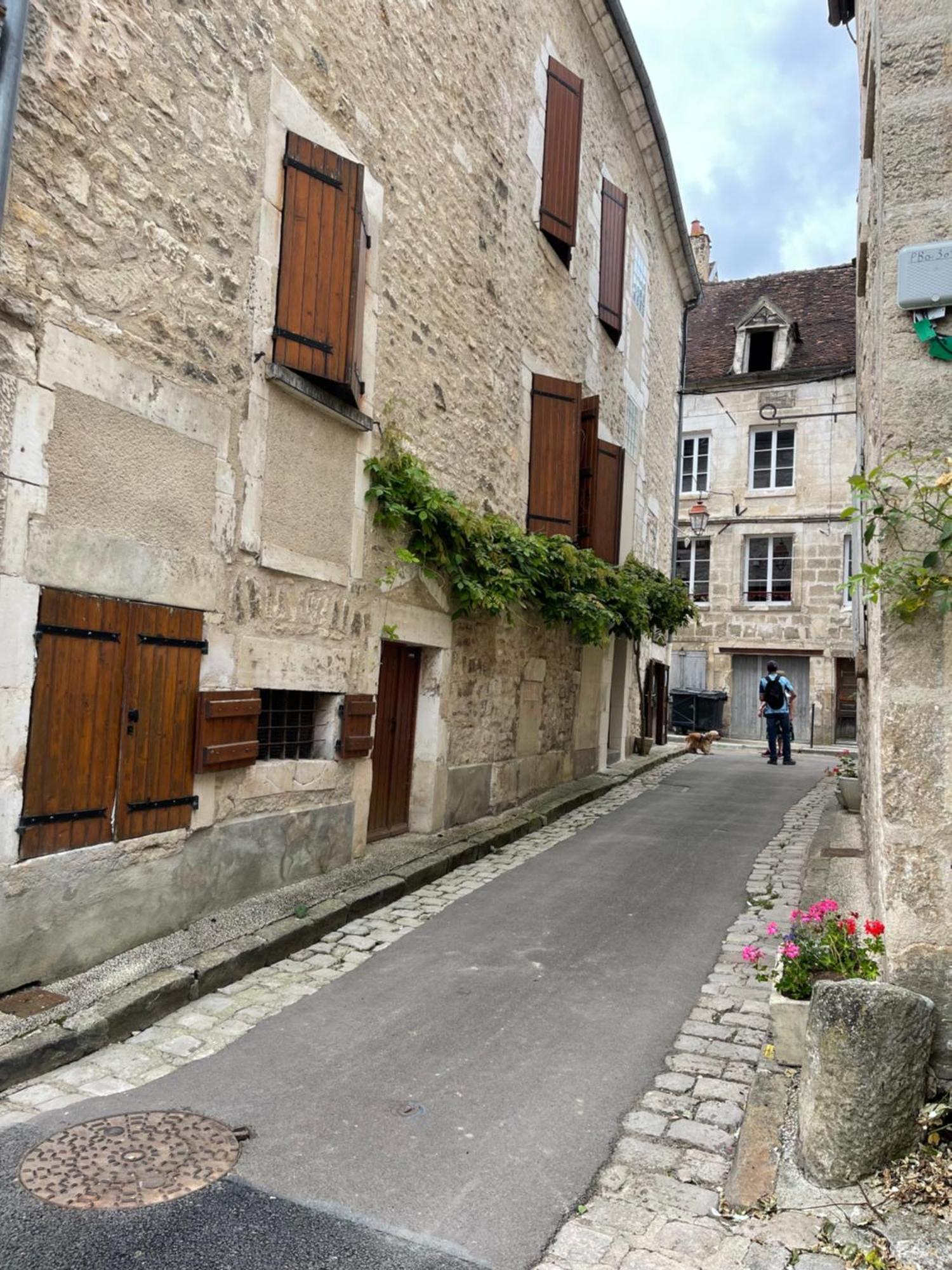 La Maison D'Alienor - Gites De Caractere A Chablis - 89 외부 사진